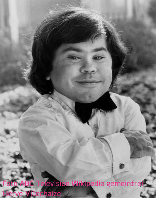 Hauptdarsteller Fantasy Island