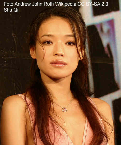 Shu Qi Shu Qi